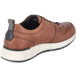 Herren Salamander Low Sneaker -