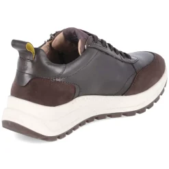 Damen Salamander Low Sneaker -