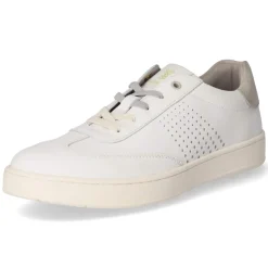 Herren Salamander Low Sneaker -