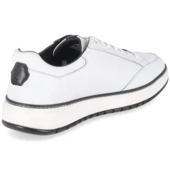 Herren Salamander Low Sneaker -